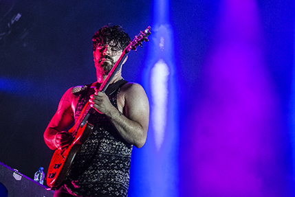 the wombats